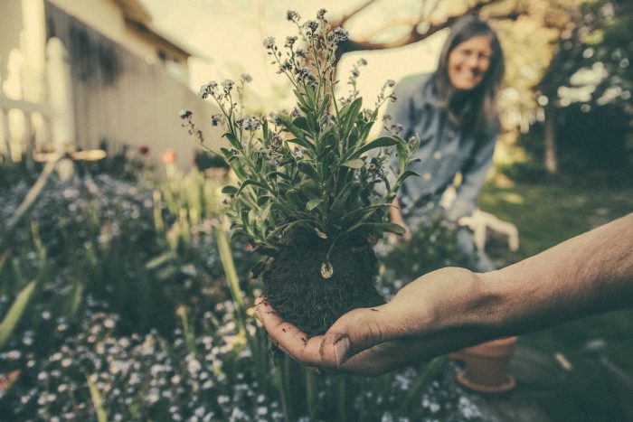 Jardinage écologique